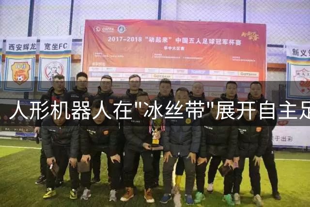 人形机器人在"冰丝带"展开自主足球竞技