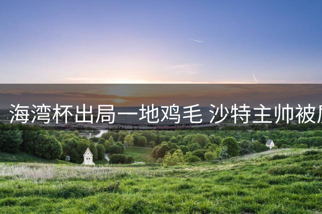 海湾杯出局一地鸡毛 沙特主帅被质疑不如曼奇尼